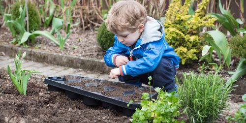 shutterstock_137673188